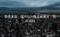 奇怪发现：国产SUV精品被曝光 · 热点7681